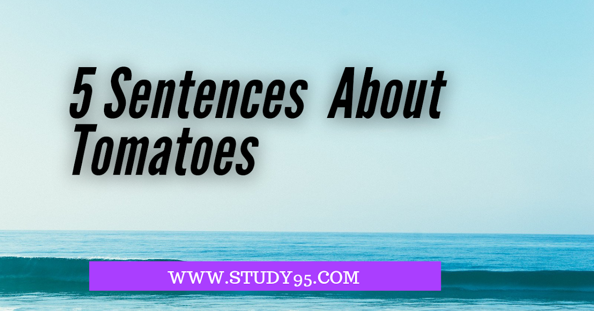 Tomato sentence for class 3 picture