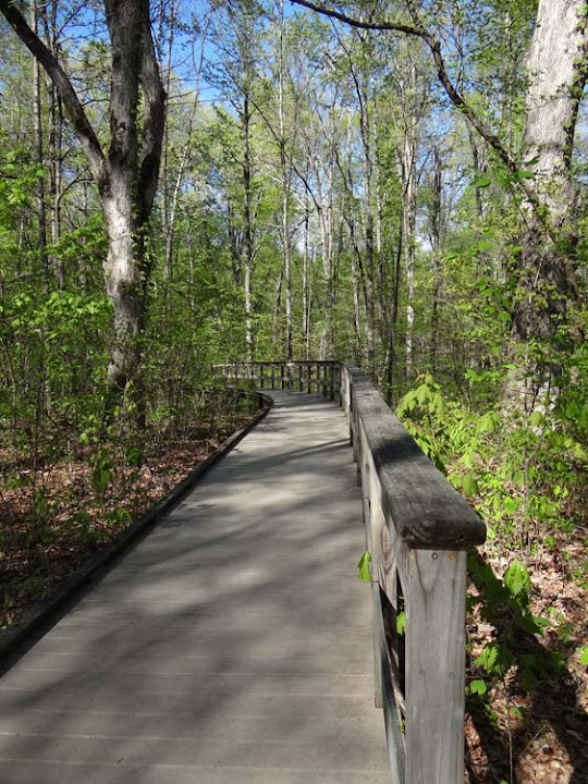 Reflections From the Fence Horse Cave and Sand Cave, Mammoth Caves