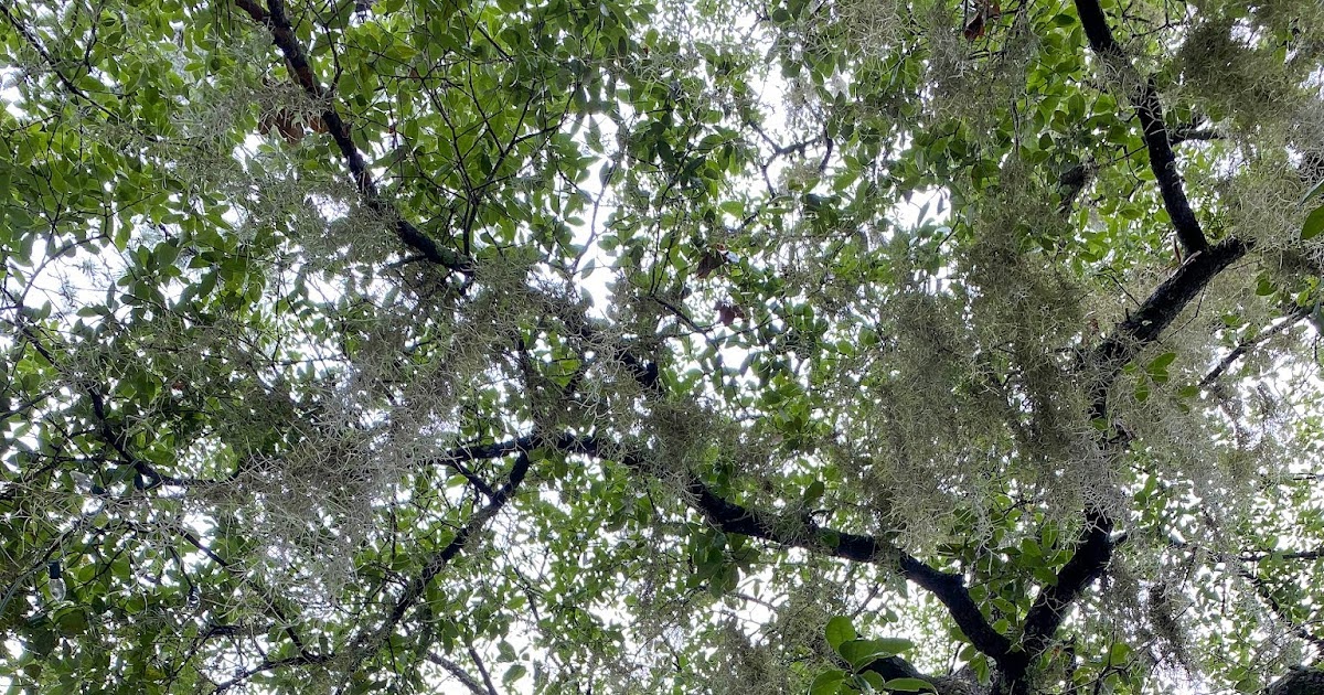 Chris Odom Photography Day 9 Pawleys Island