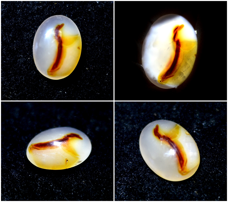 Mustika Pembangkit Khodam Pendamping Mustika Asli