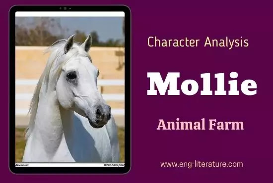 Mollie Animal Farm Character Analysis Mollie Animal Farm Character Analysis