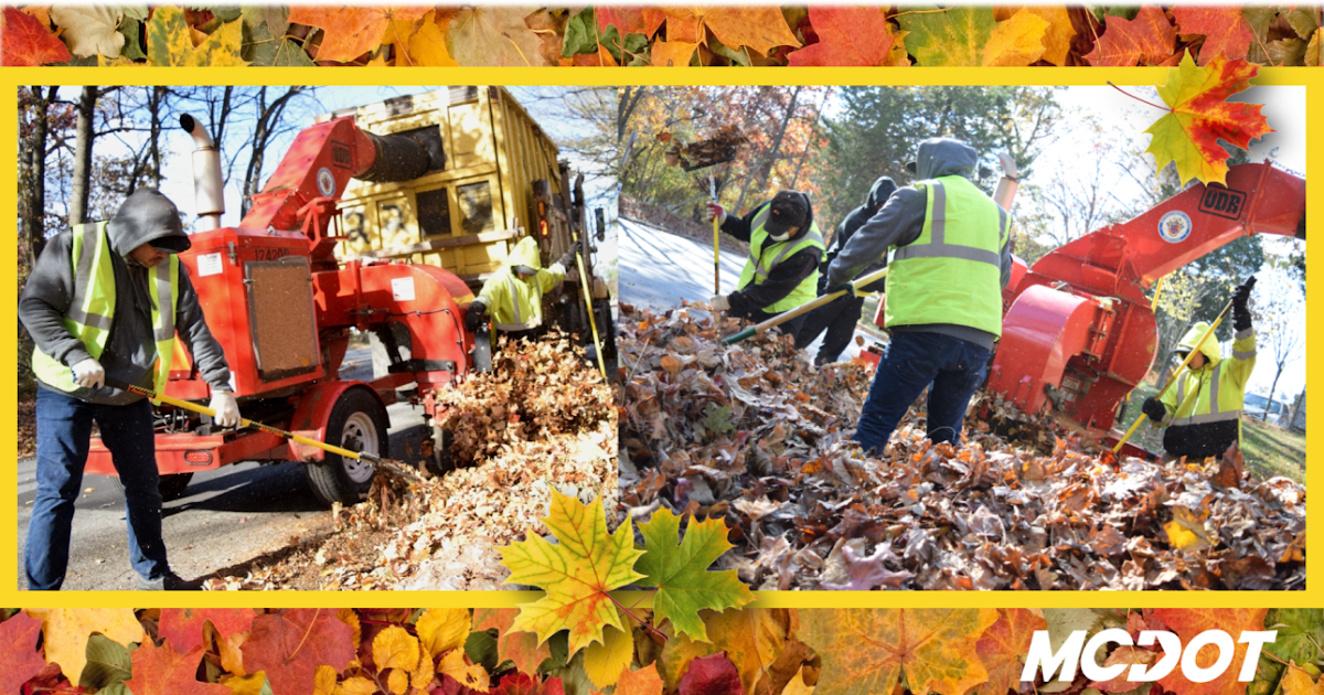 Montgomery County Updates Montgomery County Leaf Vacuum Collection