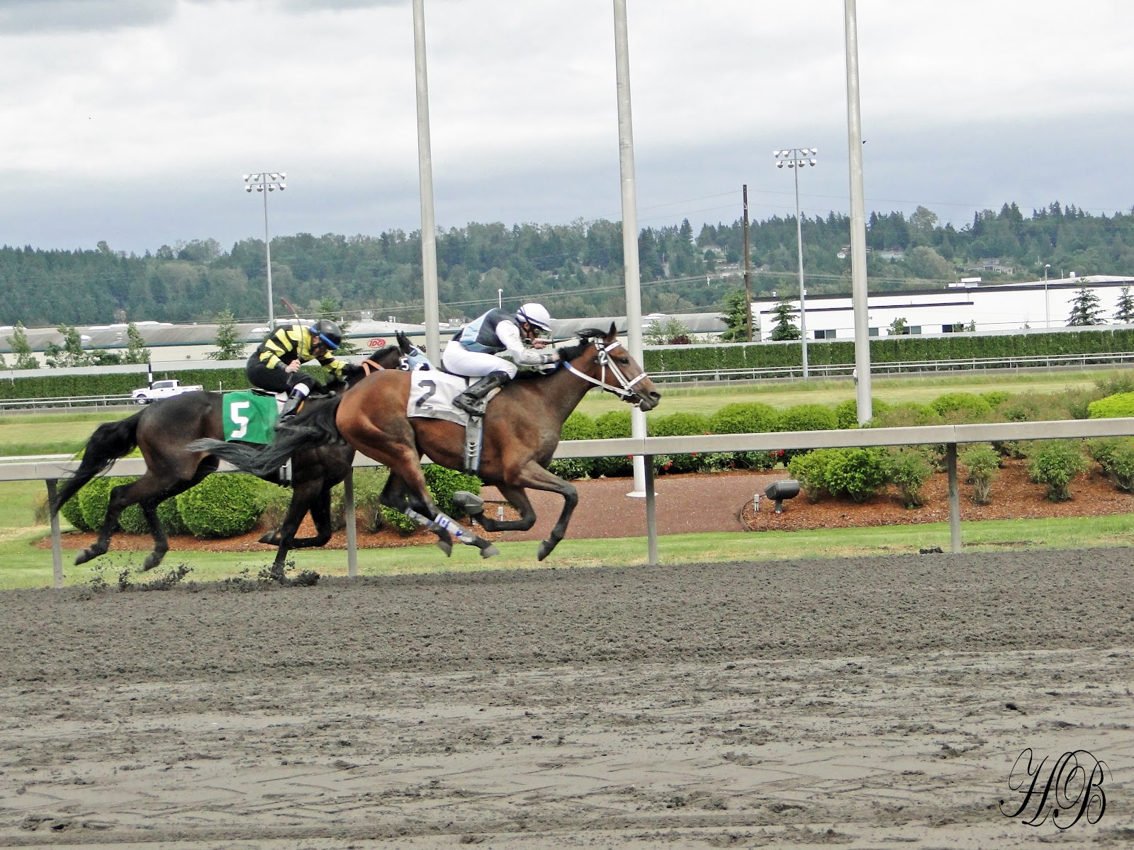 Holly's Photo Work Emerald Downs Horse Races Auburn WA