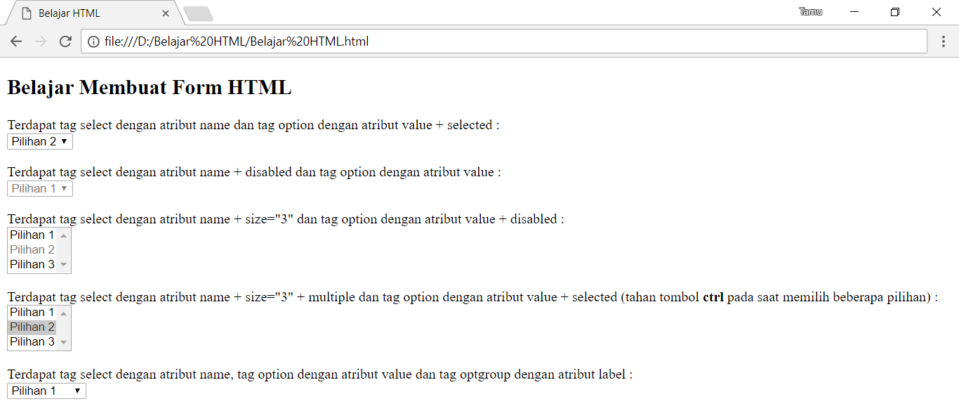 Penggunaan dan Penulisan Tag Select Dalam Form HTML Mas Abdi