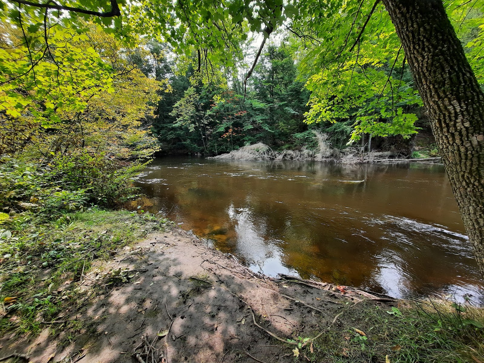What A View!!! CAMPGROUND REVIEW Chute Pond Oconto County Park near