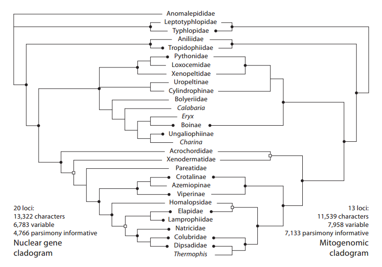 Life is short, but snakes are long: February 2016