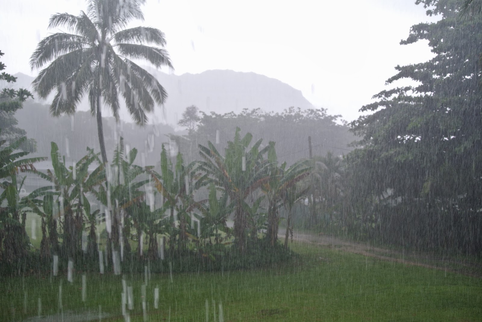 sleeping with my eyes open Kauai Tunnels beach, Hanalei Bay
