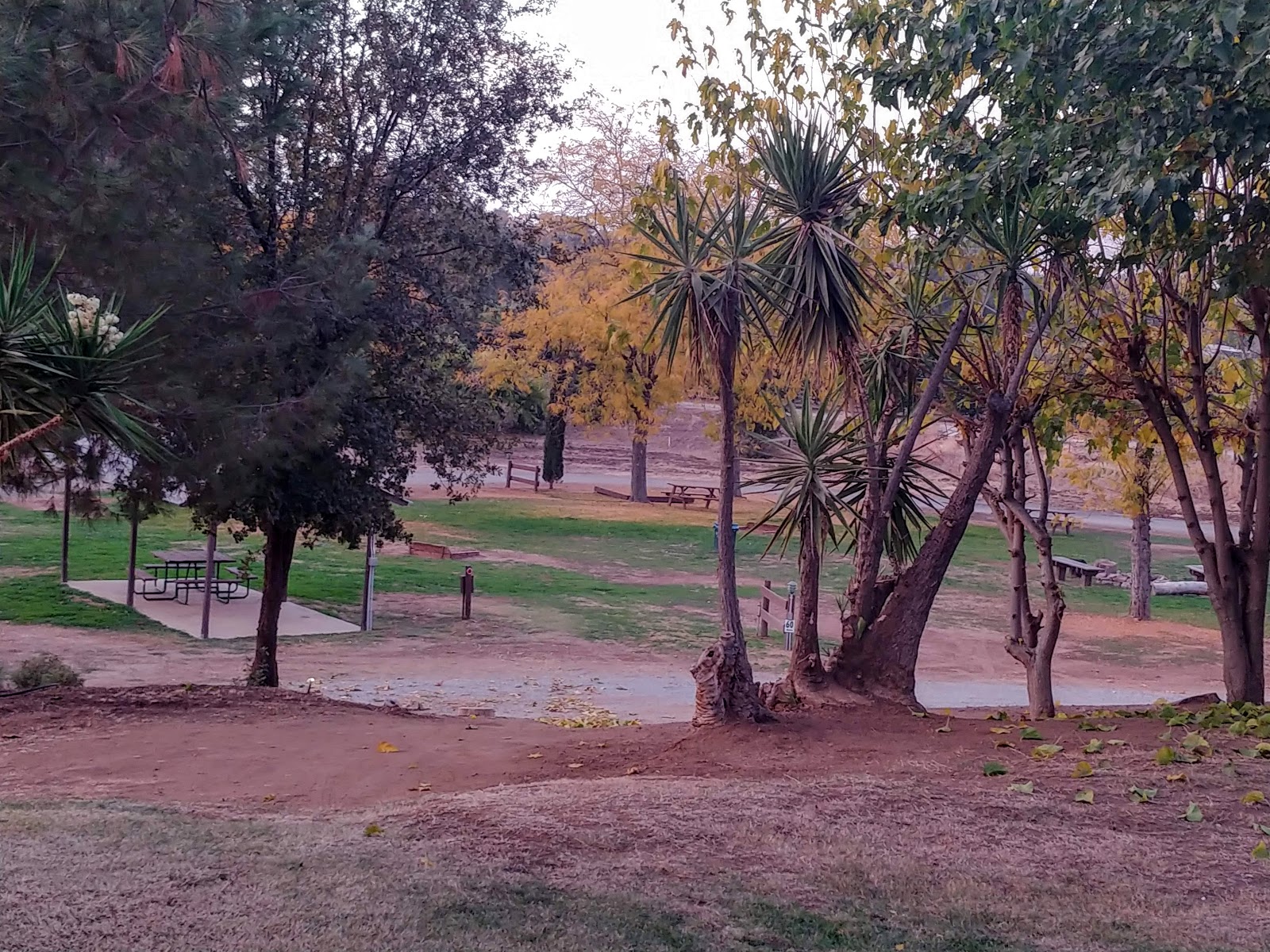 Peter And Evie Travel blog Nov 11 Traveling east to Lemon Cove