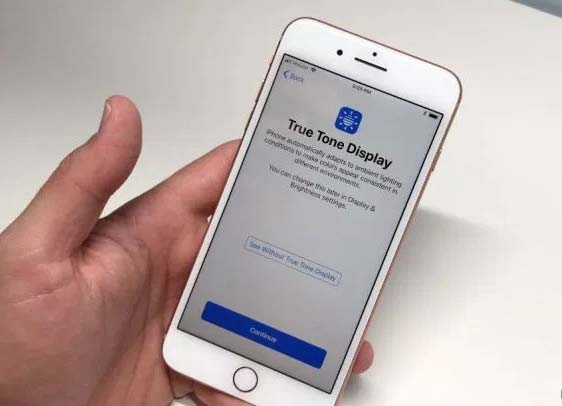 The Journey Has Begin