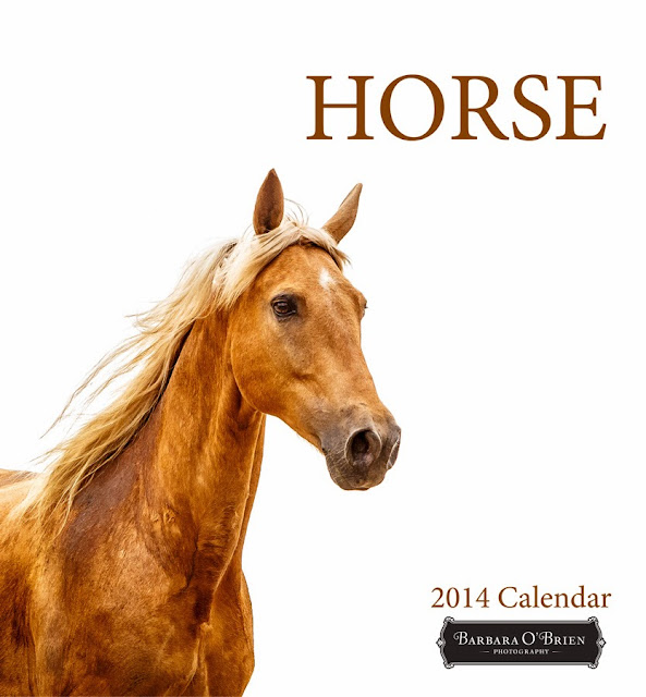 Barbara O'Brien Photography News: 2014 Large Size Wall Calendars are Barbara O'Brien Photography News: 2014 Large Size Wall Calendars are