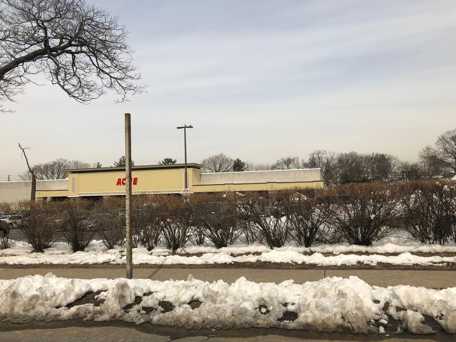 Snapshot ACME Markets Yonkers, NY