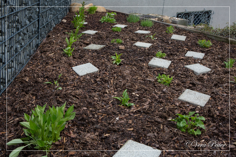 Artifactum Ver Bilis Blog Das Neue Staudenbeet Im Sommer