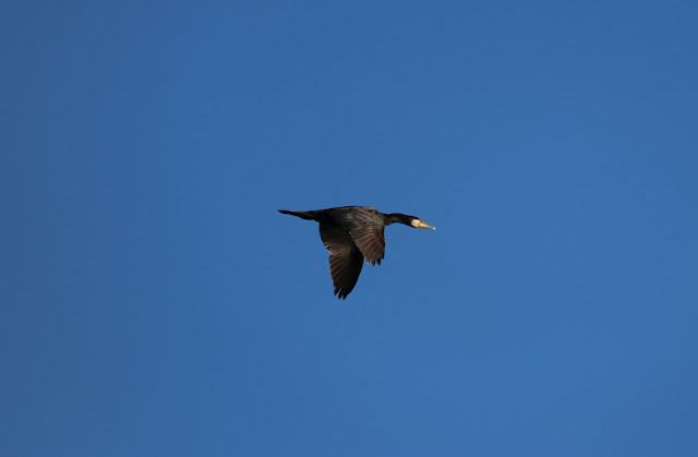 Purjeveneellä Vallisaareen 30 Purjeveneellä Vallisaareen 29