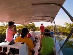 Highest rated excursions by real guests in Placencia, Belize! 1 Remaxvipbelize: People not being pooped on yet