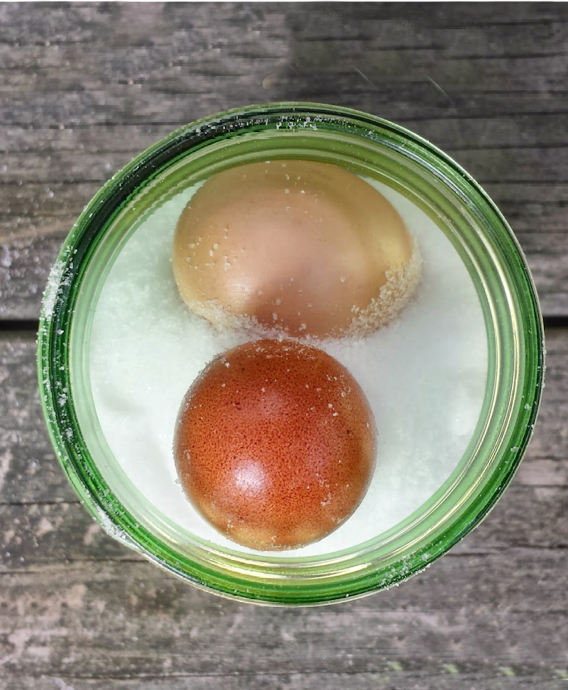 Preserving Eggs in Salt Fresh Eggs Daily® with Lisa Steele
