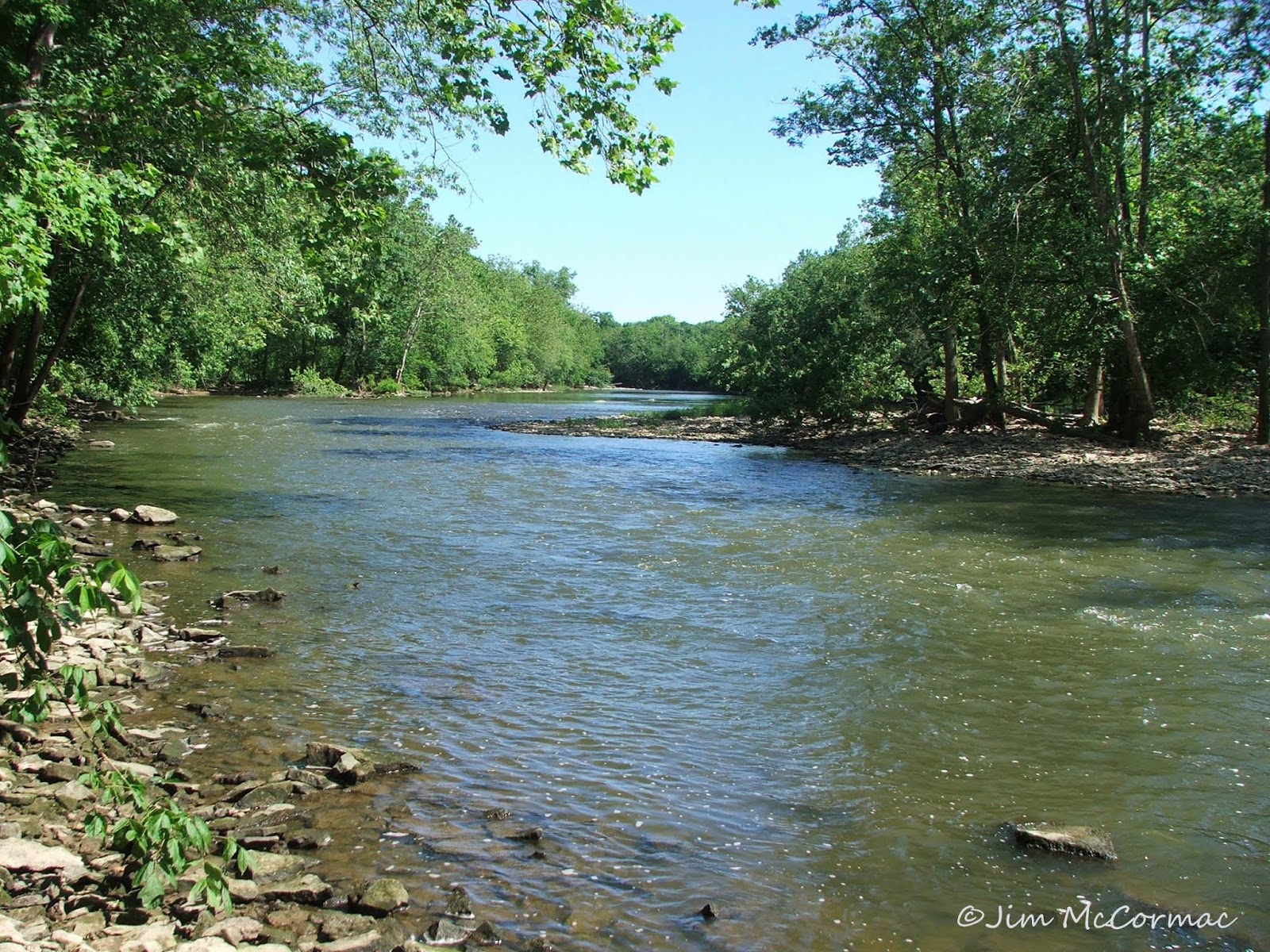 Ohio Birds and Biodiversity Scioto River Genesis, to Terminus