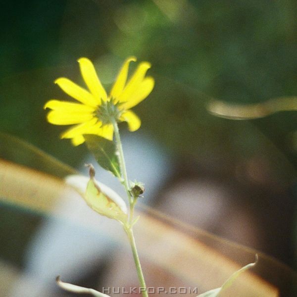 ID (BE IDENTITY) – Dear. – Single