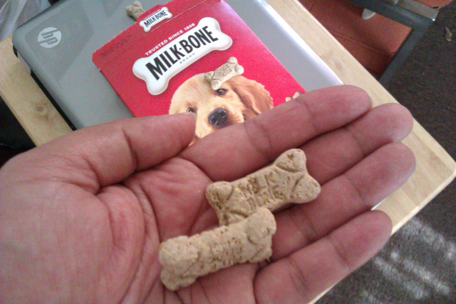 Raising Toot and Roxy What's the best treat for pitbull puppies?