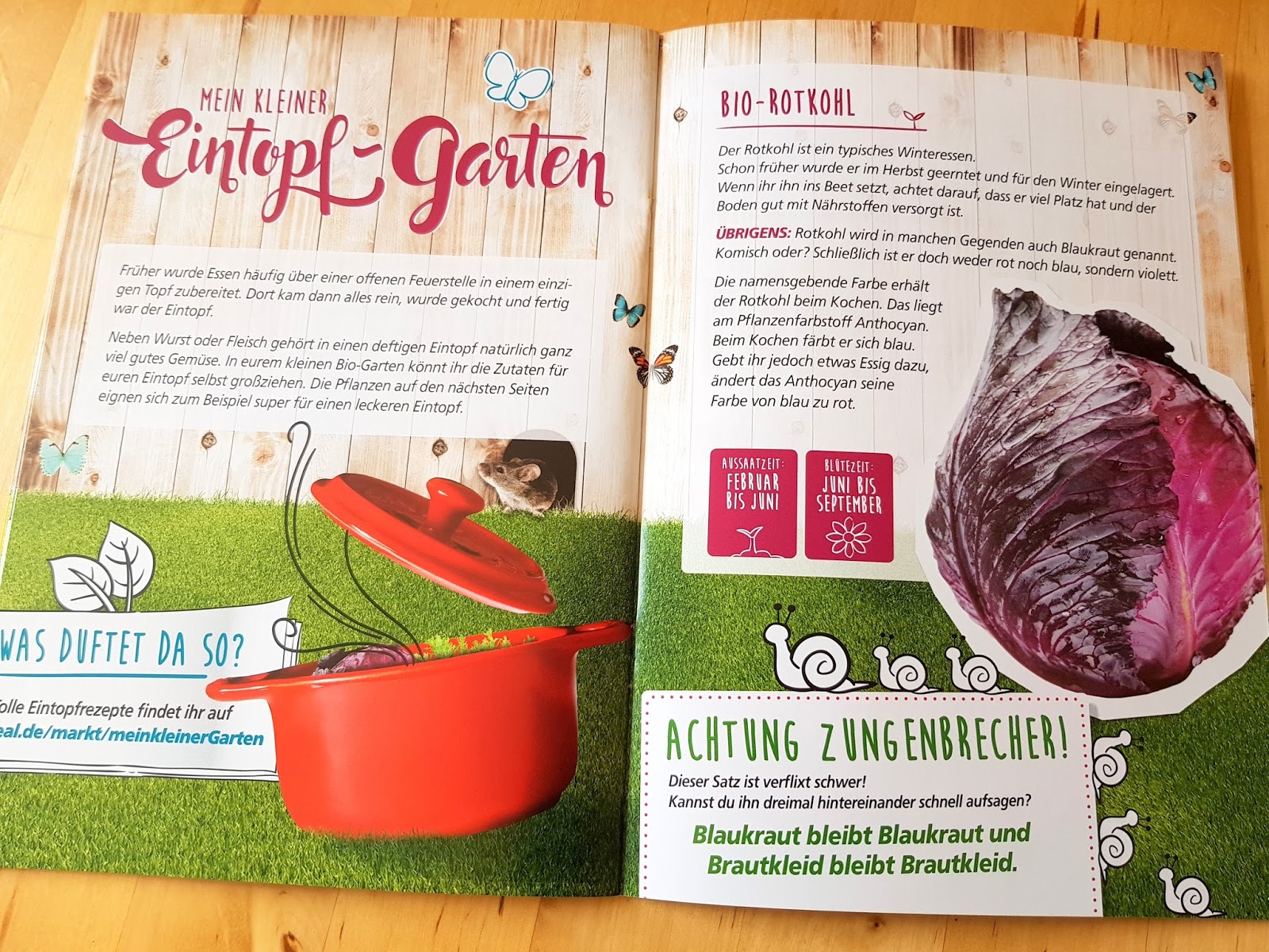 ♥ Der erste eigene kleine BioGarten ) ♥ eine tolle Familienaktion