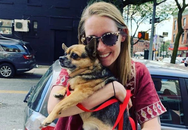 Beloved Chihuahua reunited with owner who offered $3K for dog’s return