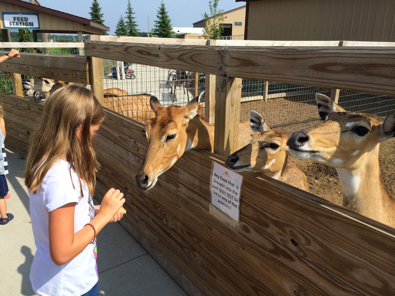 It's Fun 4 Me! Alto, Michigan Boulder Ridge Wild Animal Park