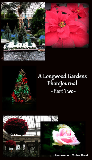 A Longwood Gardens PhotoJournal - Part Two on Homeschool Coffee Break @ kympossibleblog.blogspot.com