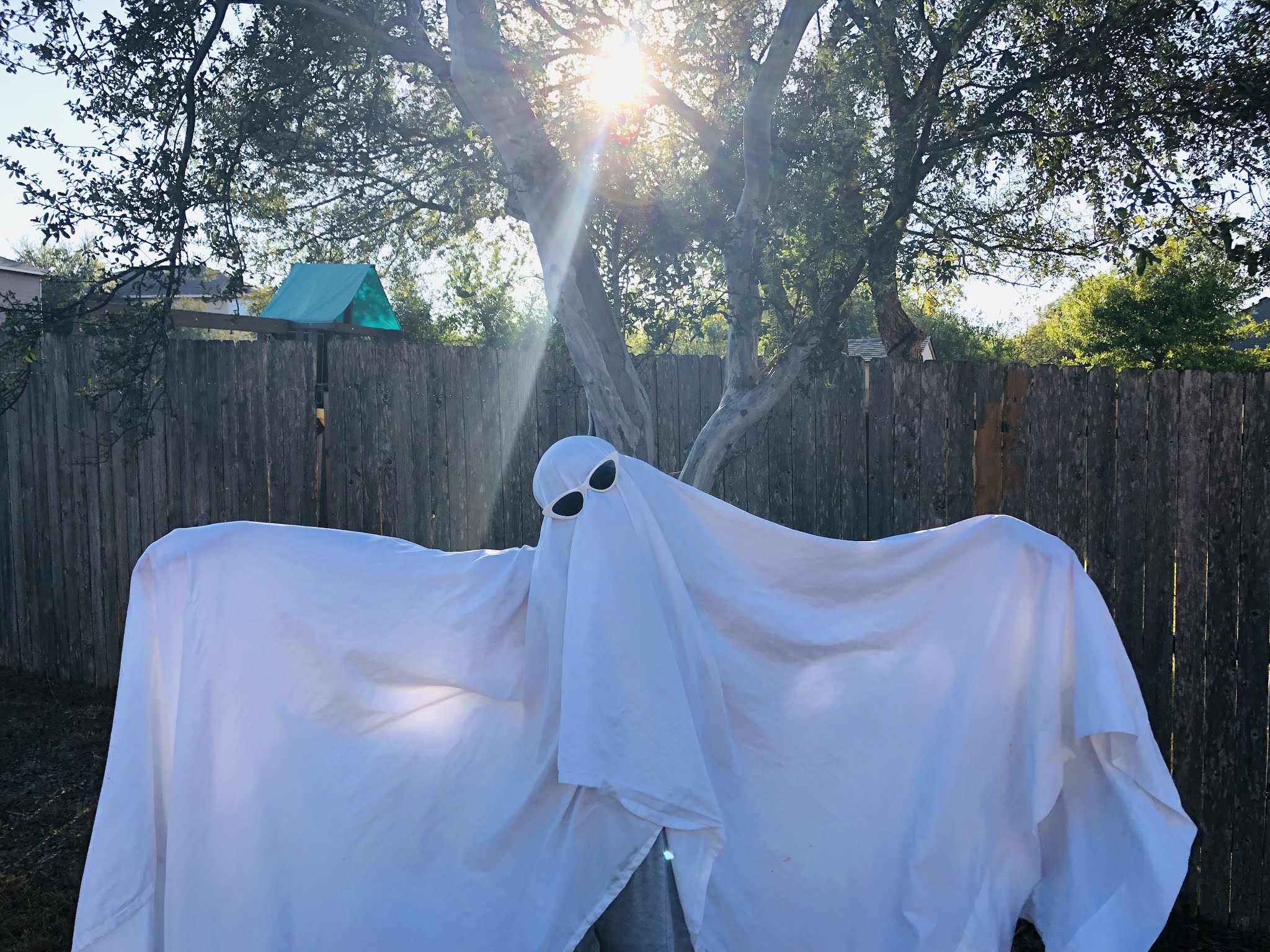 Airing My Laundry, One Post At A Time...: October 2020