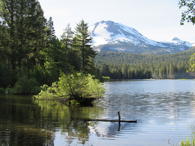 Lassen Volcanic National Park California birding hotspot