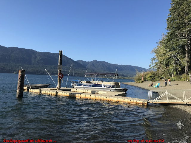 Lake Quinault Fishing