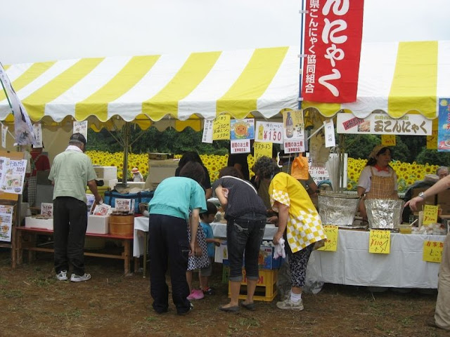 مهرجان زهور دوار الشمس في اليابان