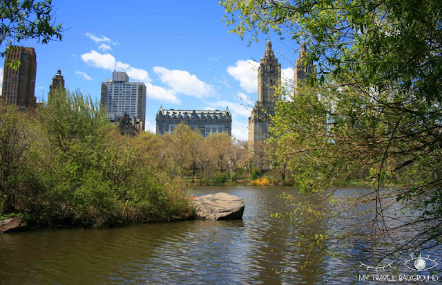 My Travel Background : Central Park, New York