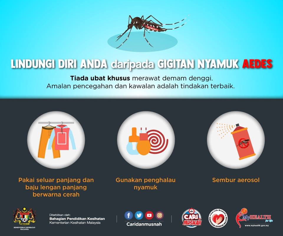 Mosquitoes Are Deadlyshould We Kill Them All The Unexpected Consequences - v7hf3t0