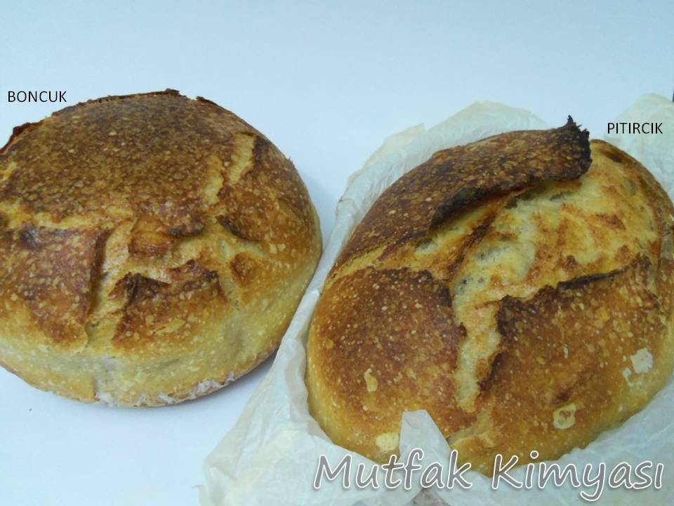 italyan eksi maya yapimi