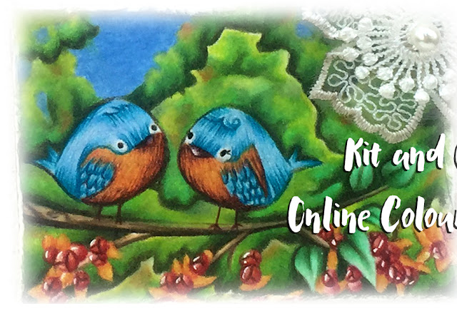 Tweetie Pie - Kit and Clowder Online Colouring Classes