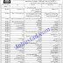 Jobs in University of Sargodha Nov 2020
