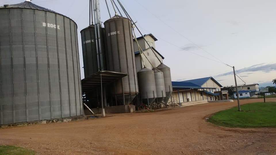 Spanish Lookout, Belize