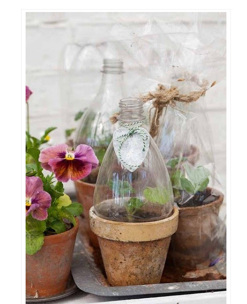 Gambar Pot Bunga Gantung Dari Botol Plastik Gambar Bunga Keren