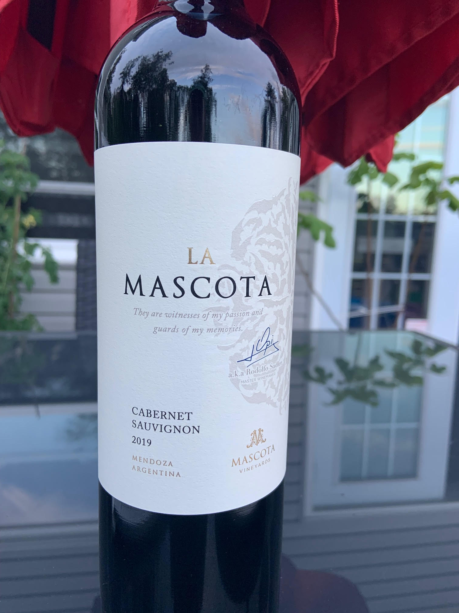 Red Wine Mascota Vineyards La Mascota Cabernet Sauvignon 2018