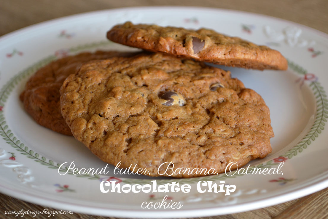 Sunny by Design Peanut Butter Banana Oatmeal Chocolate Chip (flourless