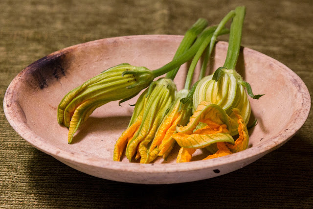 zucchini blossoms