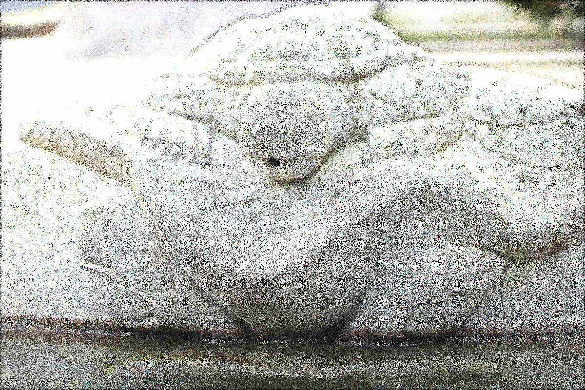 구례 화엄사 구례 화엄사