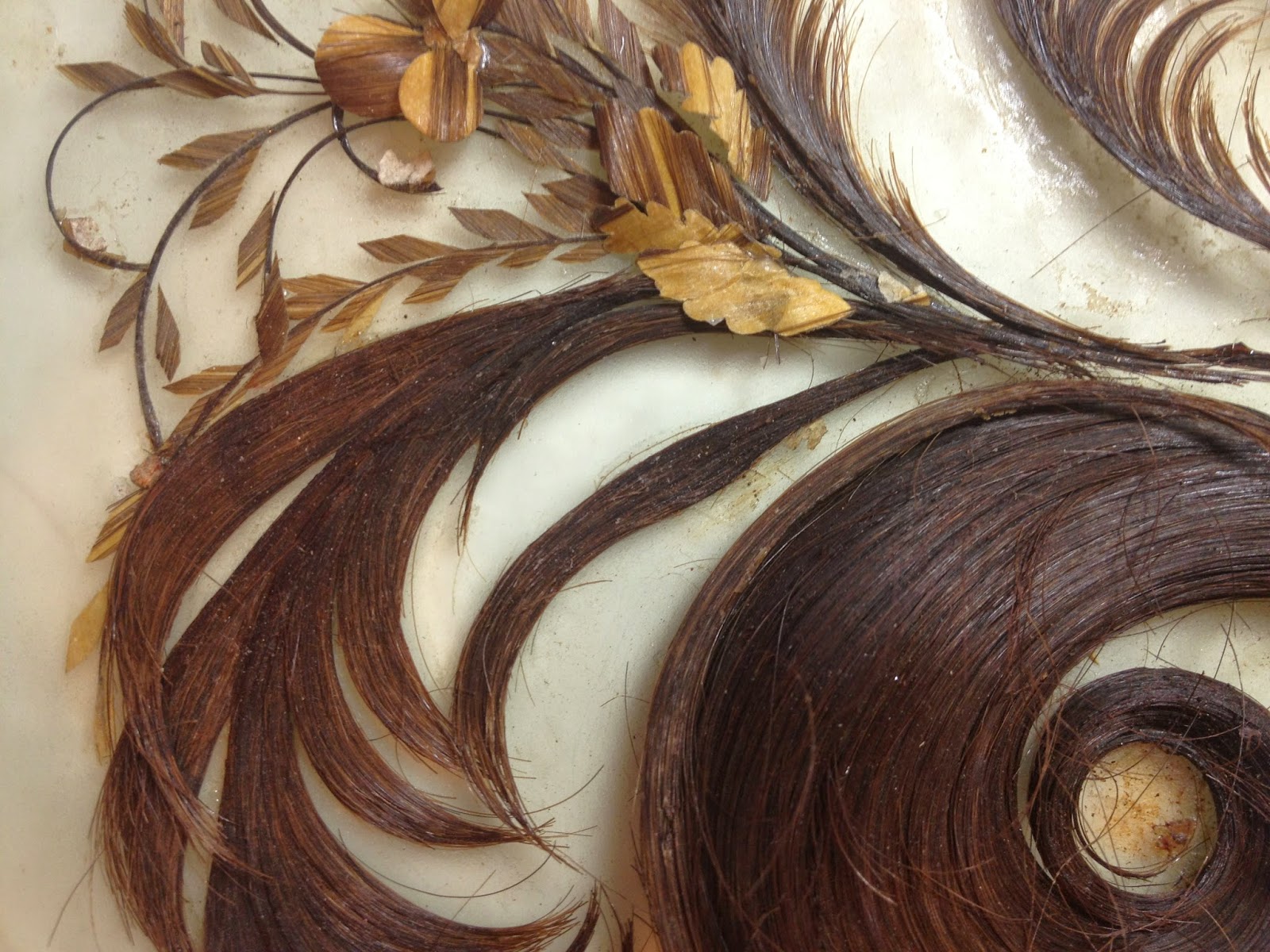 Inside the Conservator's Studio Conservation of Victorian Hair Art