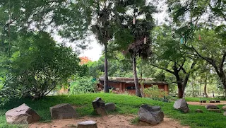 Inside Auroville