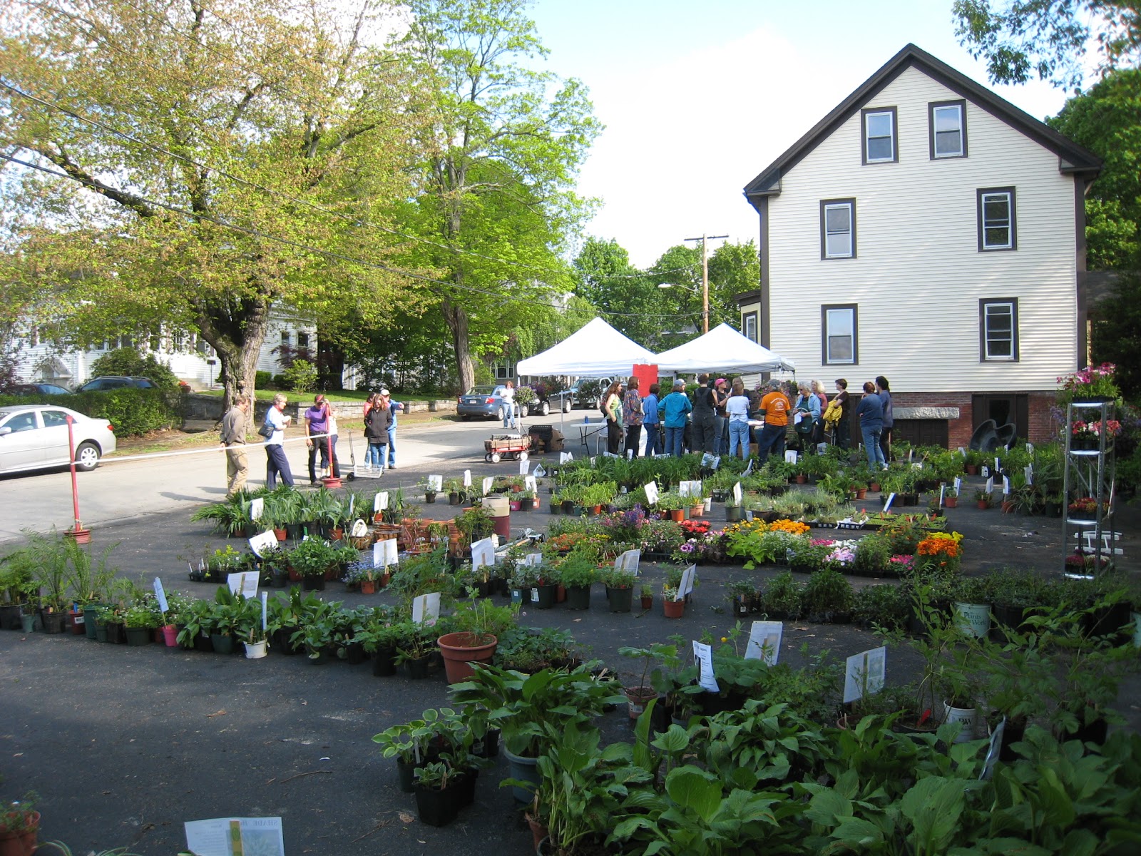 Maynard Life Outdoors and Hidden History of Maynard Maynard Garden Club 19381962