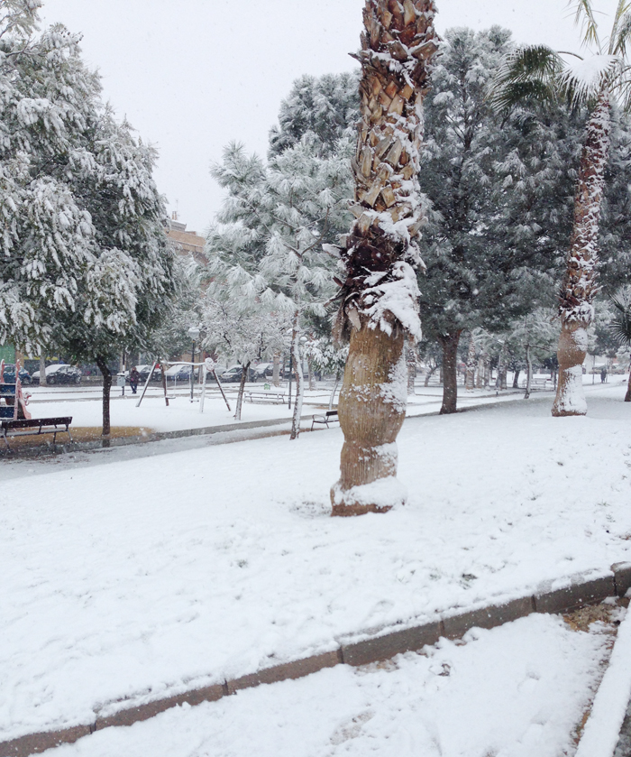 todoloquemellama blog NIEVE EN MURCIA. todoloquemellama blog NIEVE EN MURCIA.