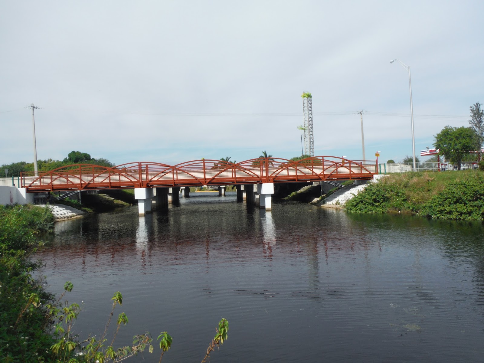 Fly Fishing the West with Howard Midas Cichlids, Turtles and Manatees