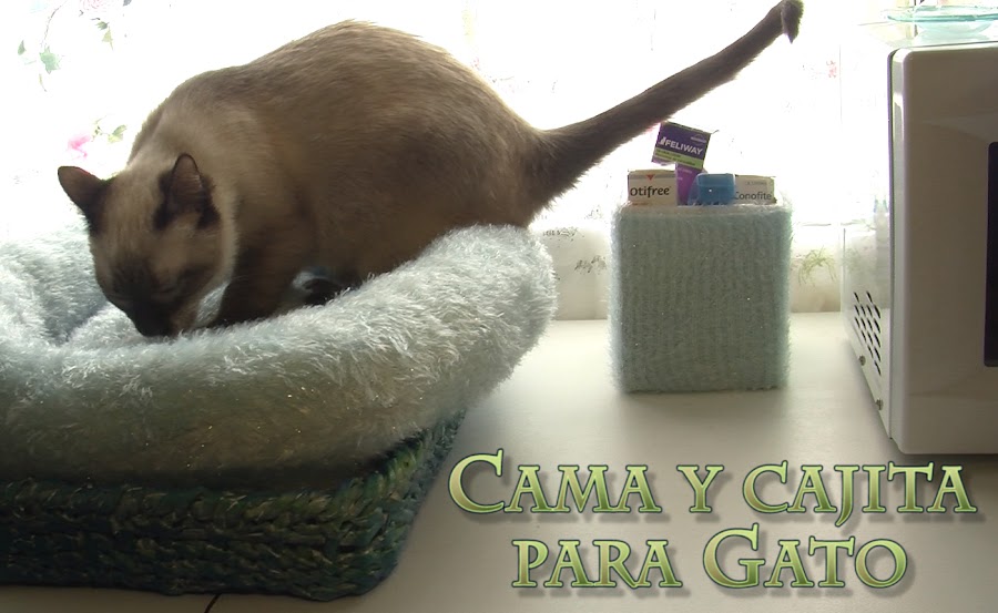 Cama para gato con cesta de papel de periódico, más cajita a juego.