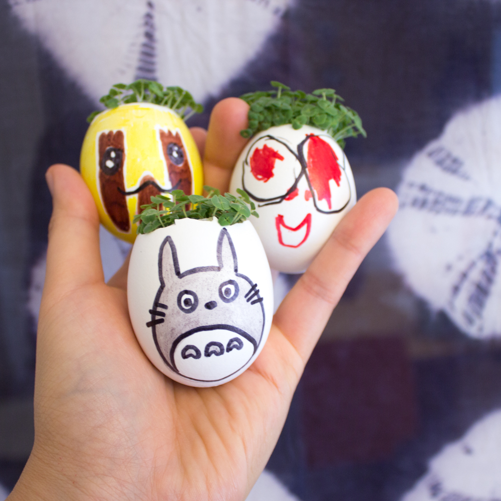 How to grow Chia Egg Heads Pink Stripey Socks