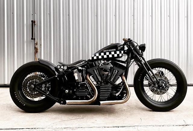 Harley Davidson By Tuey