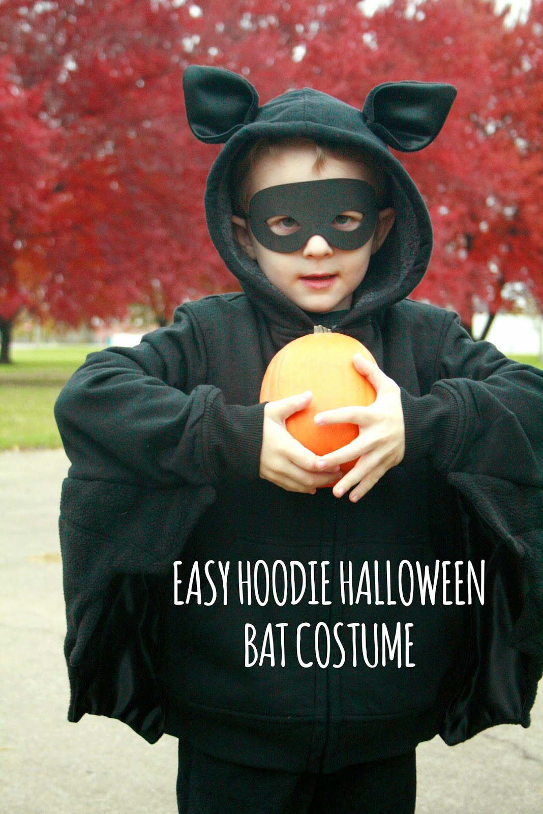 The Dieter Family: Halloween Bat Costume